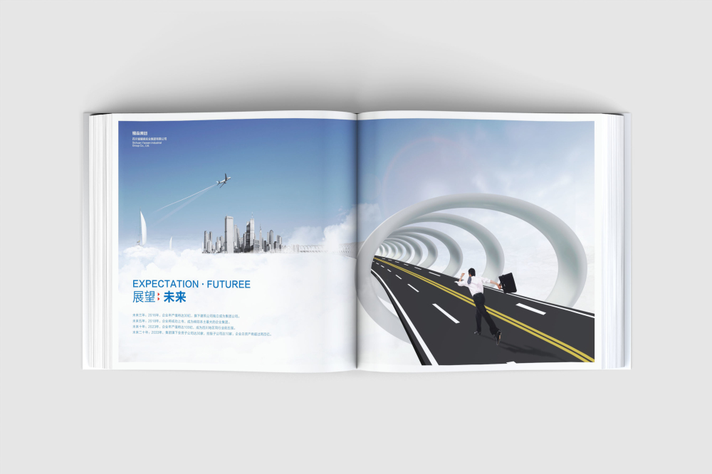 富宁县画册设计
